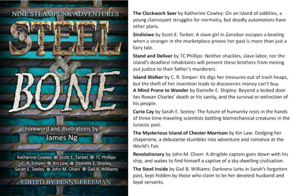 Steel and Bone, cover and blurb